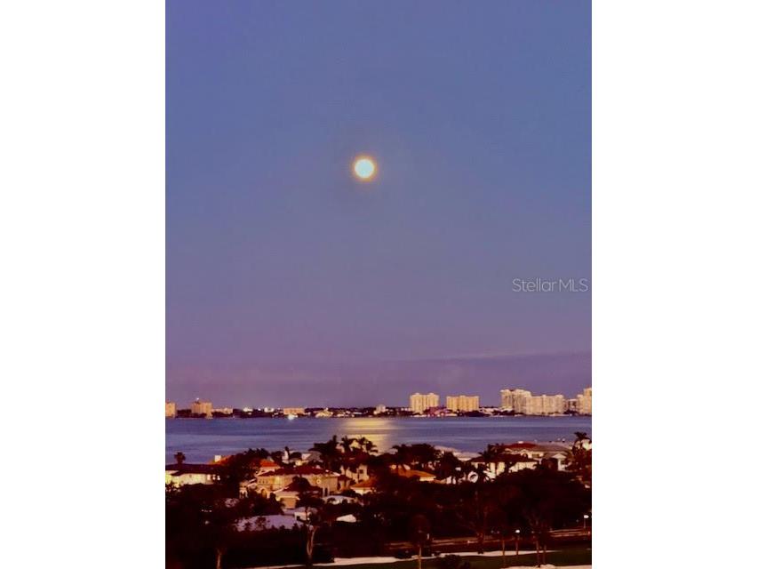 1050 Longboat Club Road #903 Longboat Key FL 34228 - GULF OF MEXICO A4647430 image78