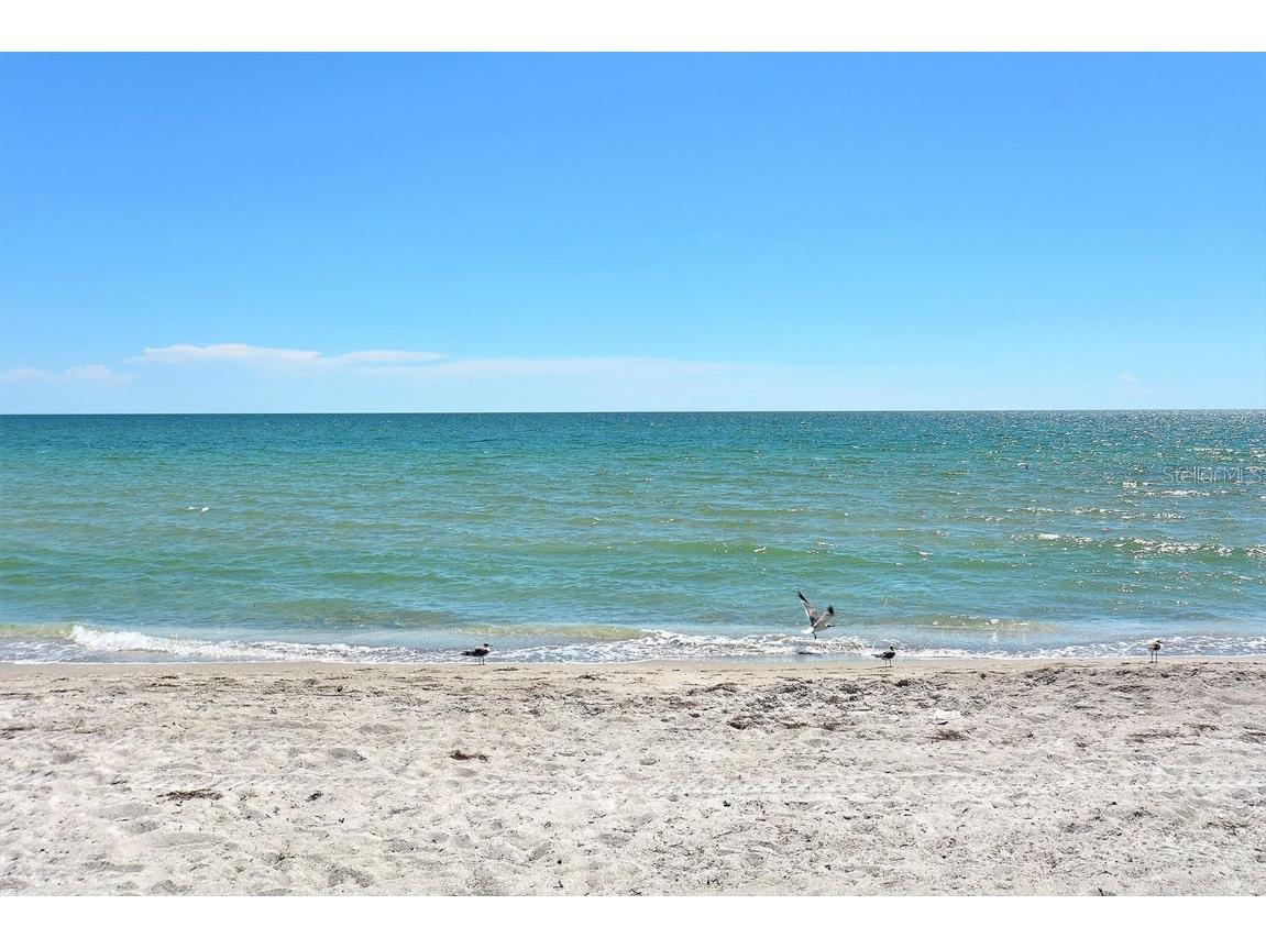 1050 Longboat Club Road #903 Longboat Key FL 34228 - GULF OF MEXICO A4647430 image86