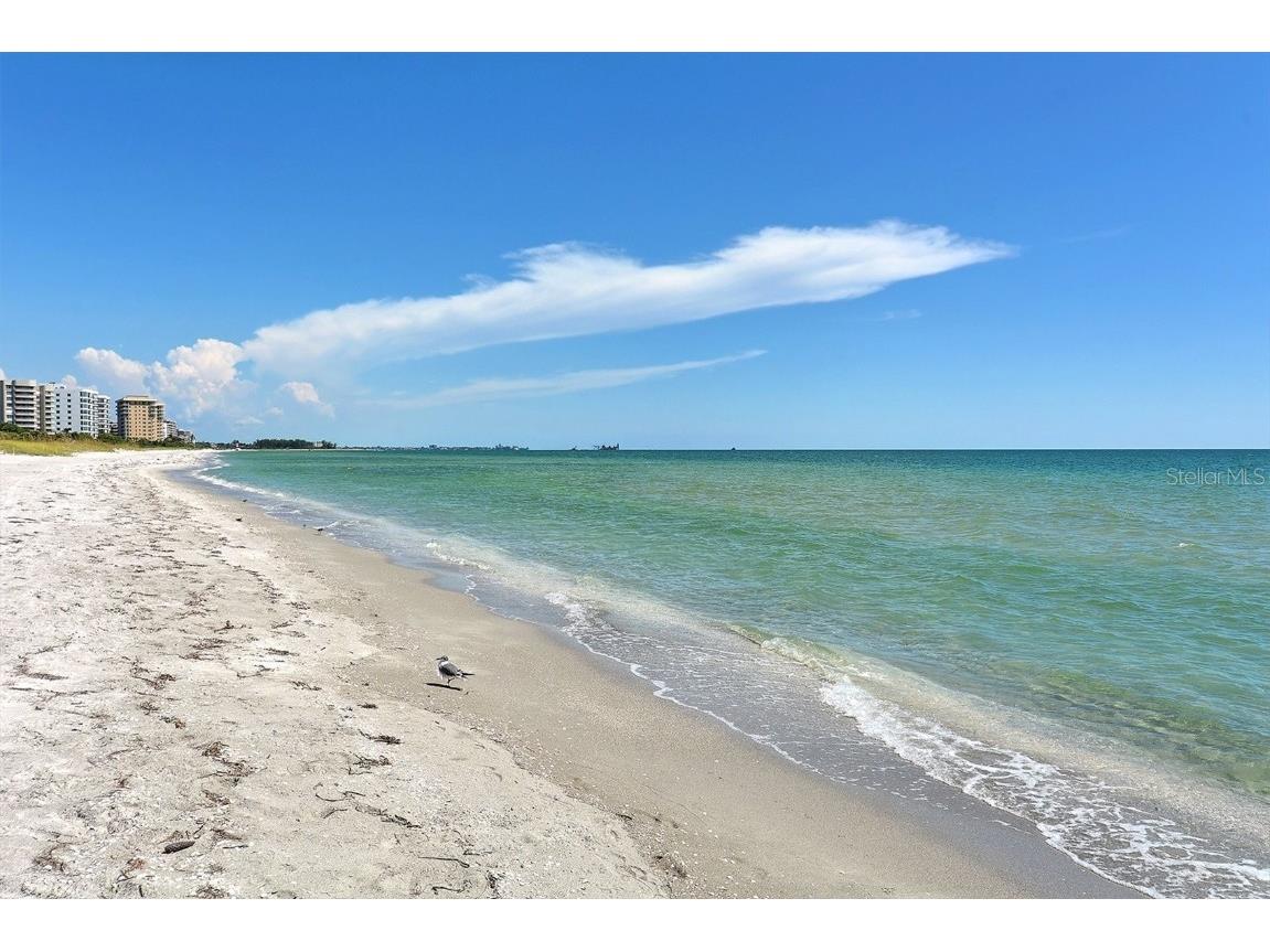 1050 Longboat Club Road #903 Longboat Key FL 34228 - GULF OF MEXICO A4647430 image87
