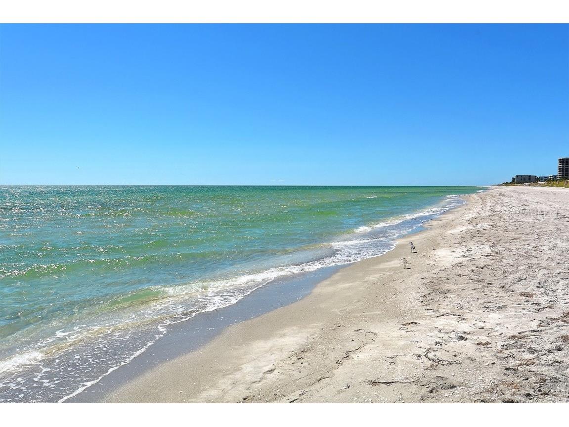 1050 Longboat Club Road #903 Longboat Key FL 34228 - GULF OF MEXICO A4647430 image88