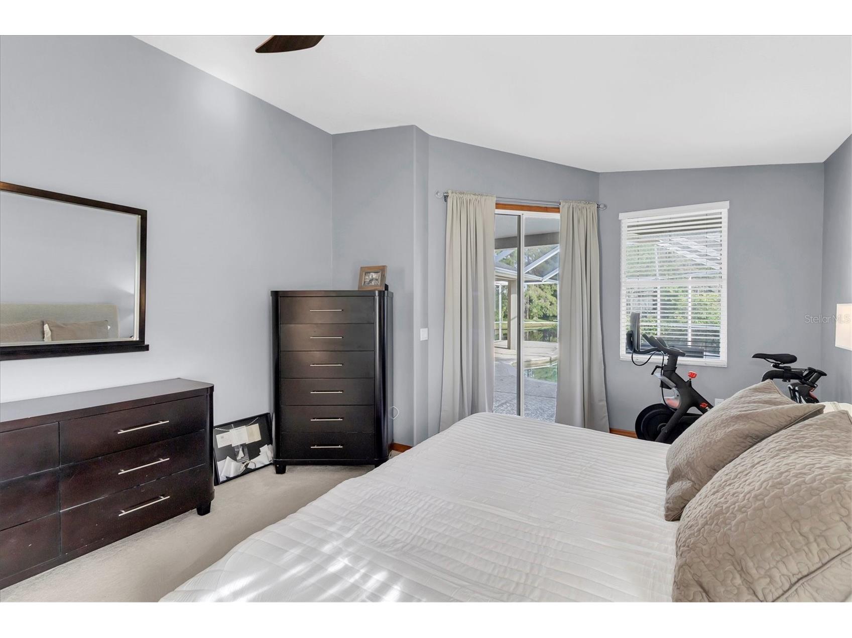 1050 Maravista Drive Trinity FL 34655 W7884583 image17