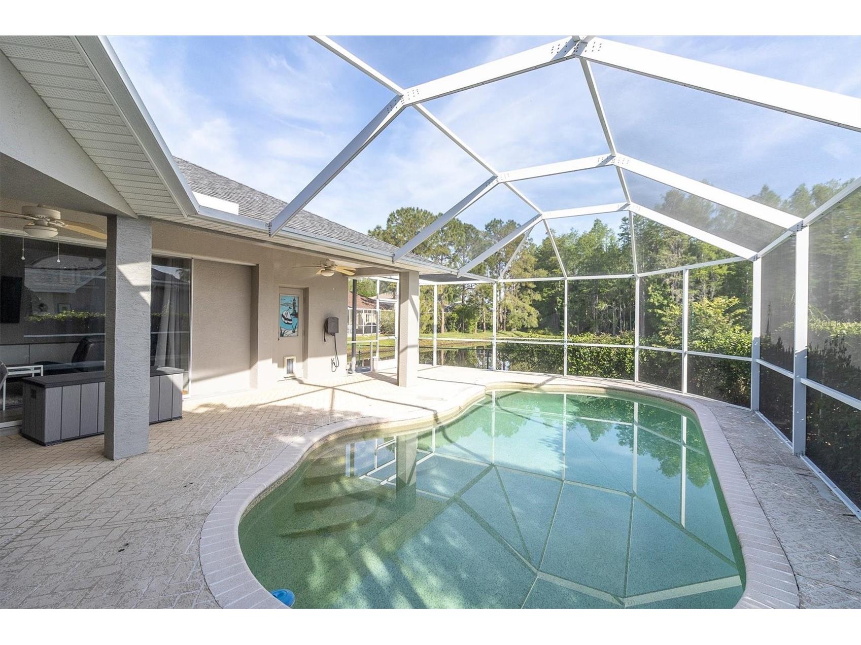 1050 Maravista Drive Trinity FL 34655 W7884583 image31