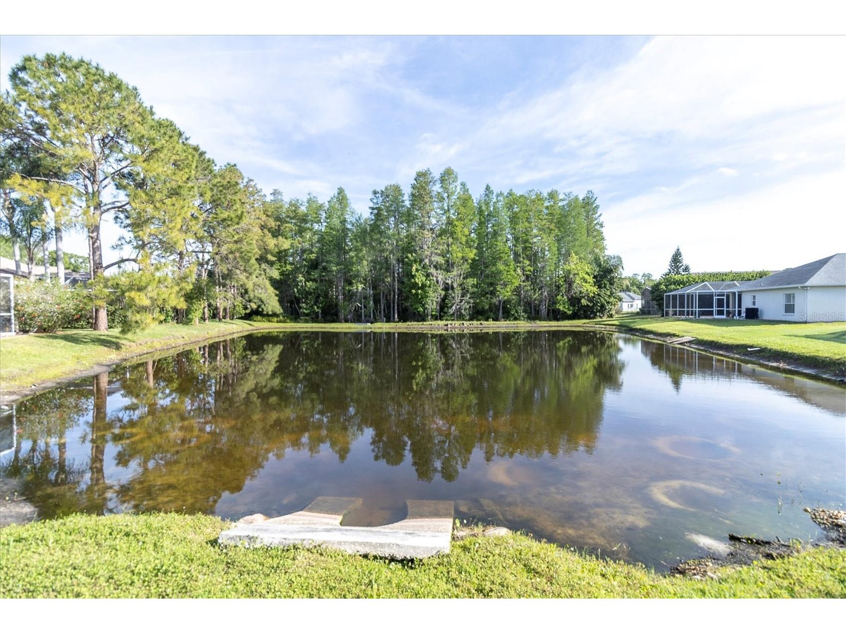 1050 Maravista Drive Trinity FL 34655 W7884583 image36
