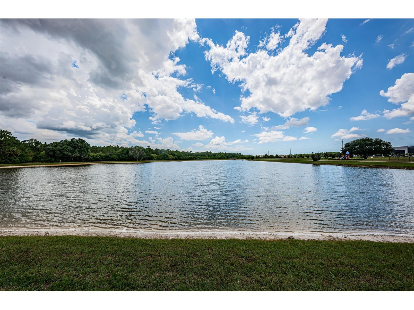 1050 Maravista Drive Trinity FL 34655 W7884583 image58