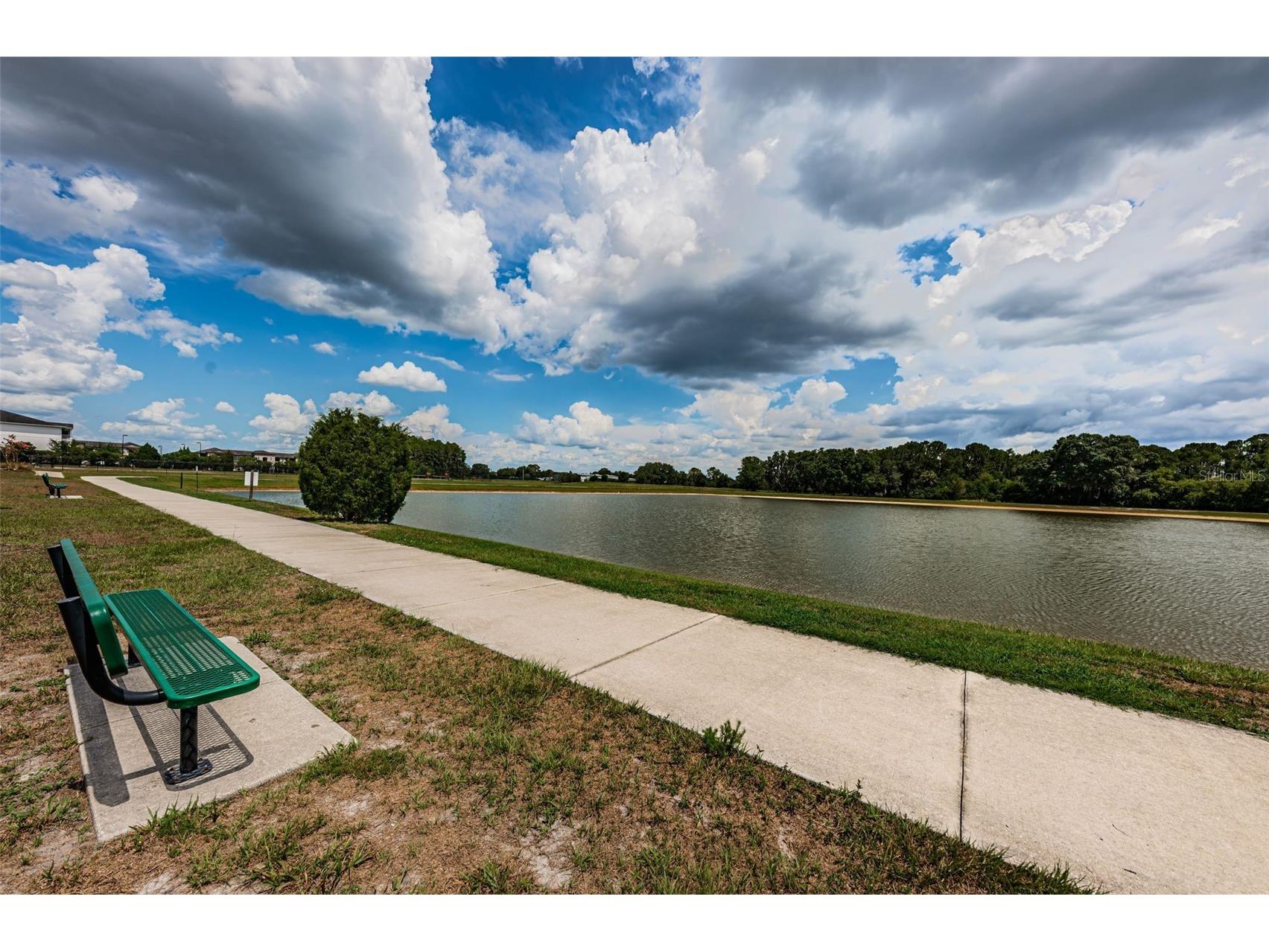 1050 Maravista Drive Trinity FL 34655 W7884583 image60