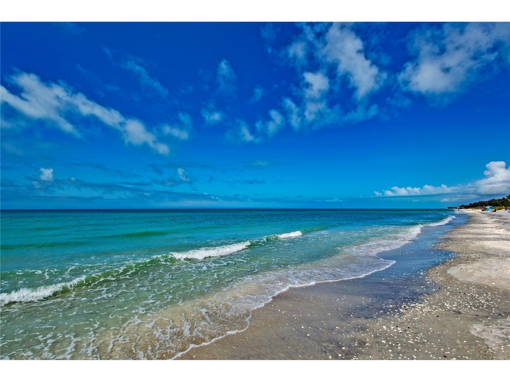 1050 Olympia Road Venice FL 34293 D6147379 image65