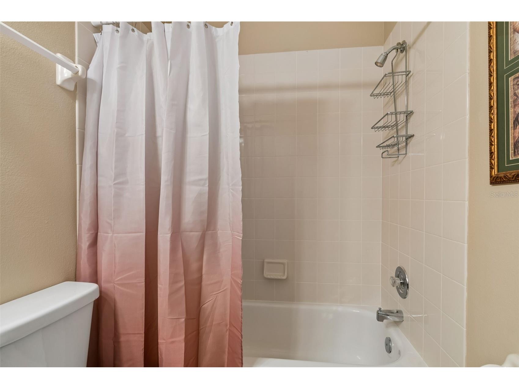 1050 Starkey Rd #207 Largo FL 33771 TB8496283 image20