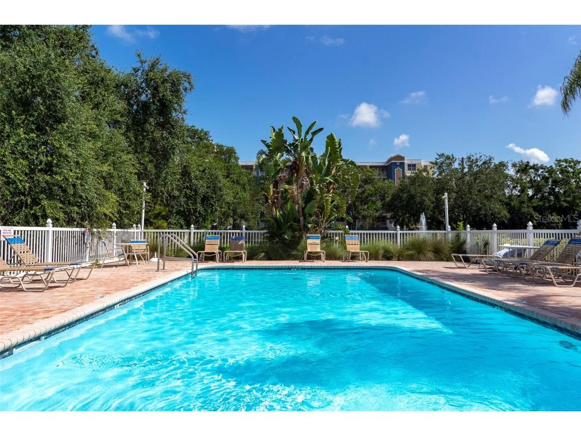 1050 Starkey Road #208 Largo FL 33771 TB8412932 image26