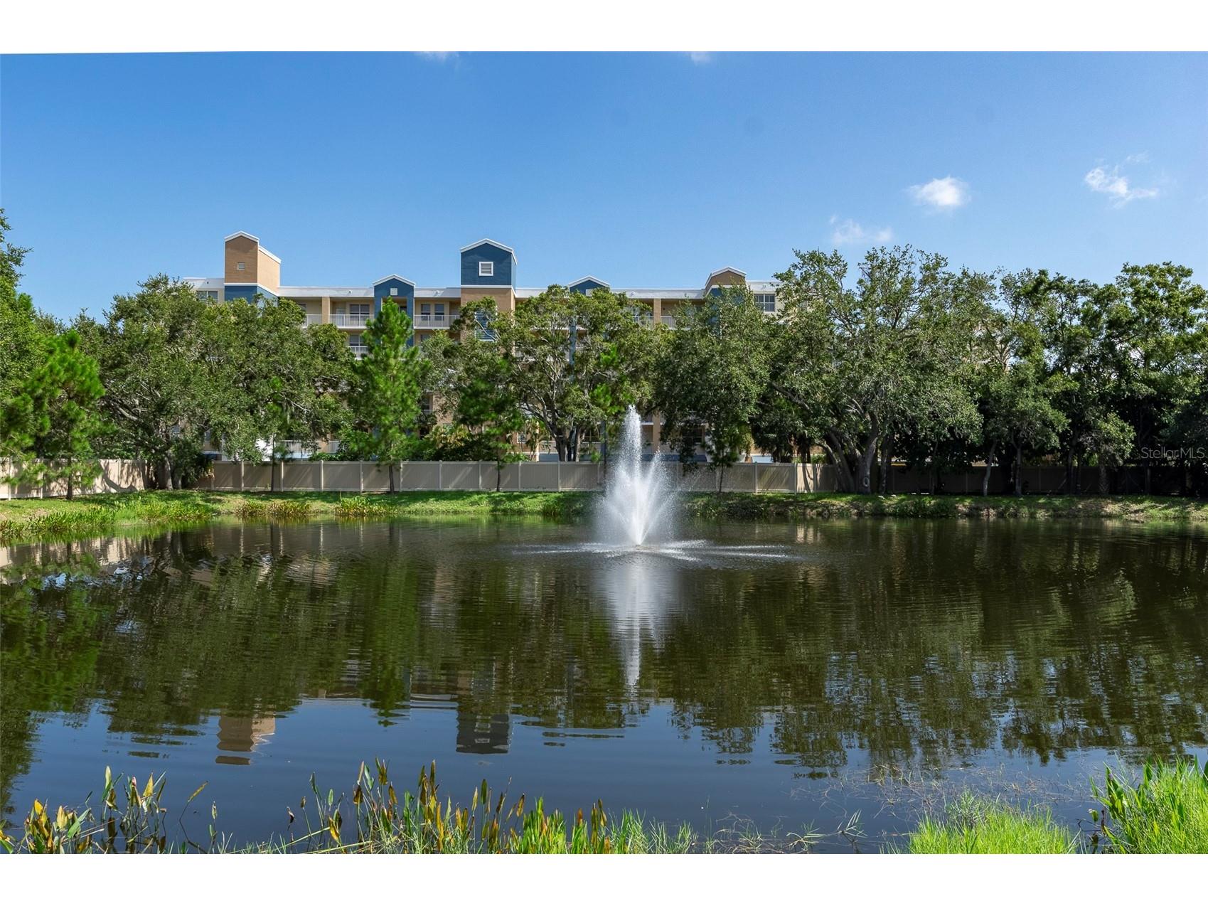 1050 Starkey Road #208 Largo FL 33771 TB8412932 image31