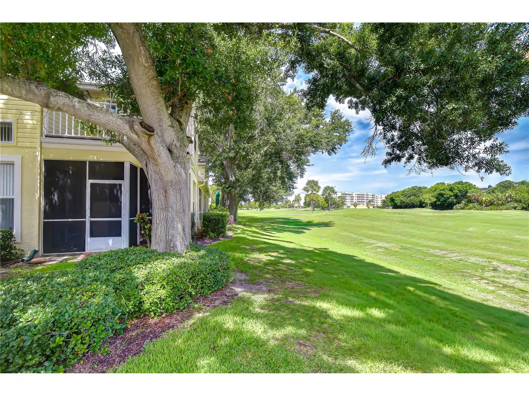 1050 Starkey Road #2105 Largo FL 33771 TB8521991 image13