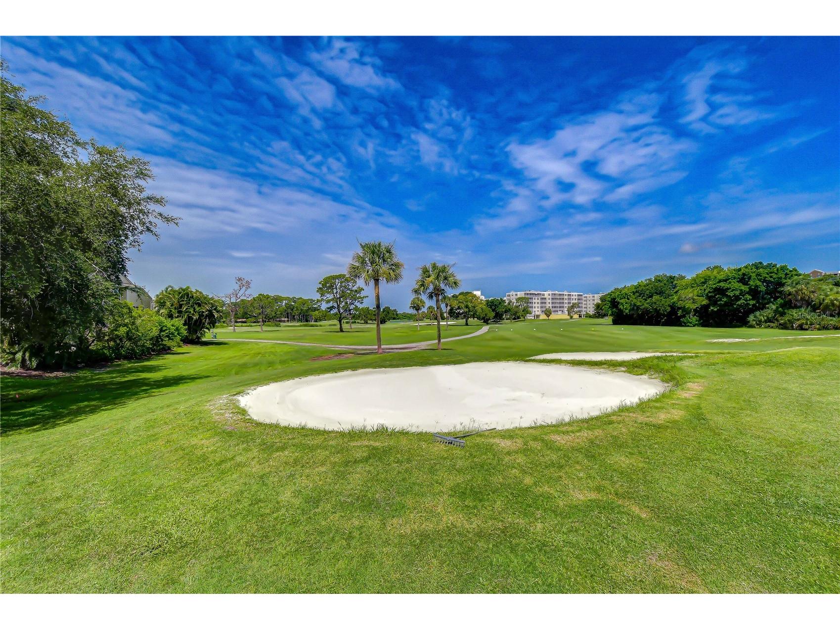 1050 Starkey Road #2105 Largo FL 33771 TB8521991 image17