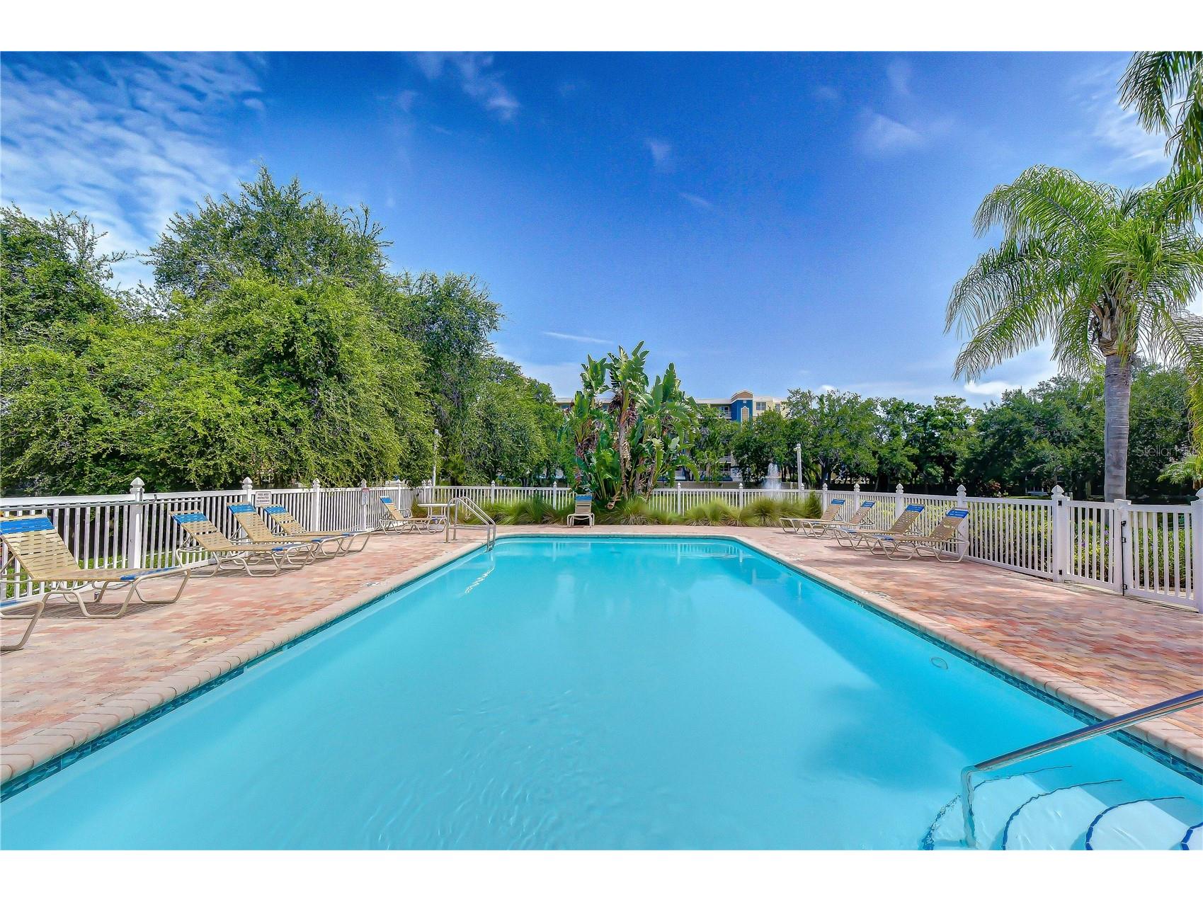 1050 Starkey Road #2105 Largo FL 33771 TB8521991 image25