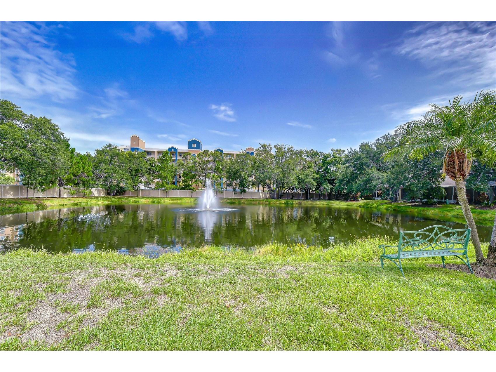1050 Starkey Road #2105 Largo FL 33771 TB8521991 image31