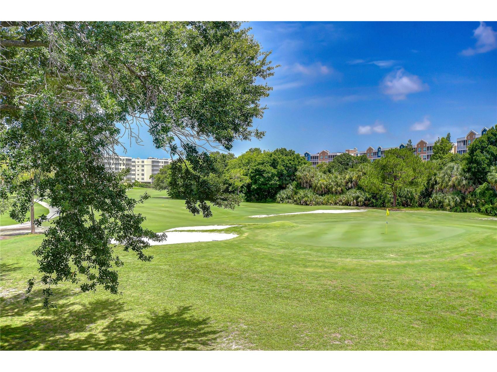 1050 Starkey Road #2105 Largo FL 33771 TB8521991 image82