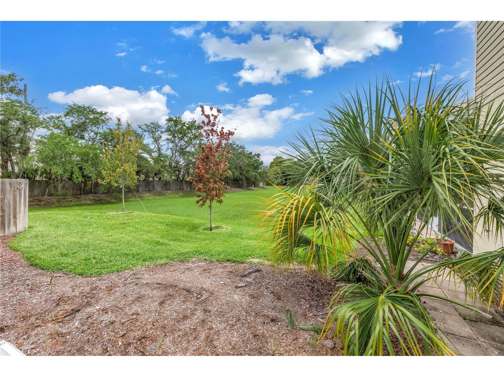 1050 Starkey Road #2201 Largo FL 33771 TB8464015 image61