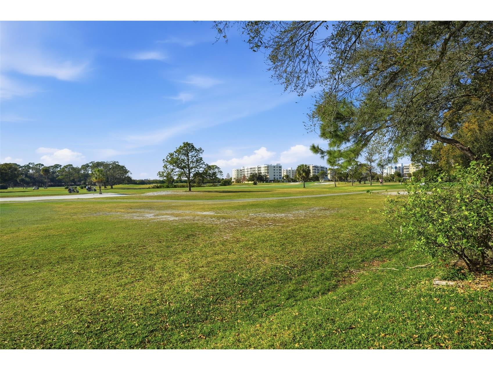 1050 Starkey Road #2608 Largo FL 33771 TB8476225 image53