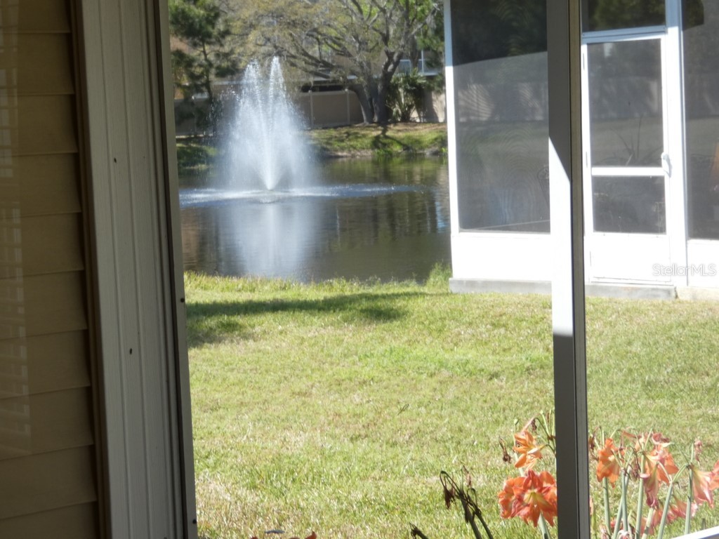 1050 Starkey Road #405 Largo FL 33771 W7883490 image21