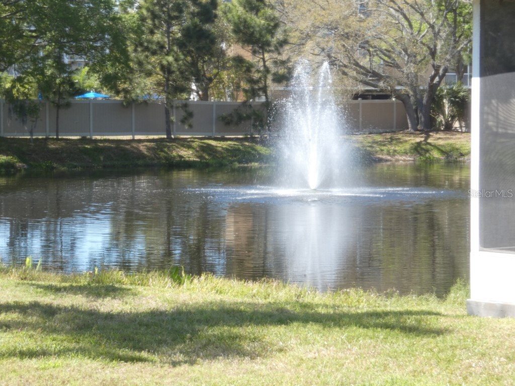 1050 Starkey Road #405 Largo FL 33771 W7883490 image22