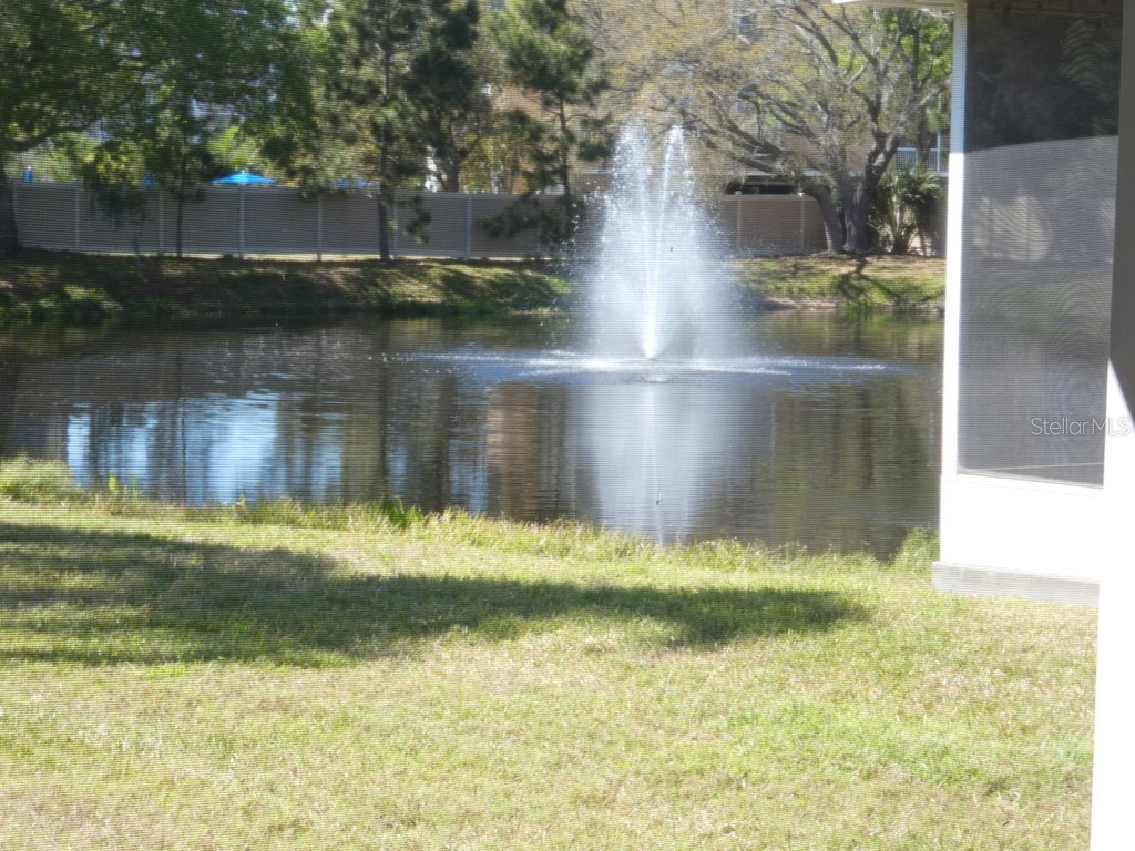 1050 Starkey Road #405 Largo FL 33771 W7883490 image5