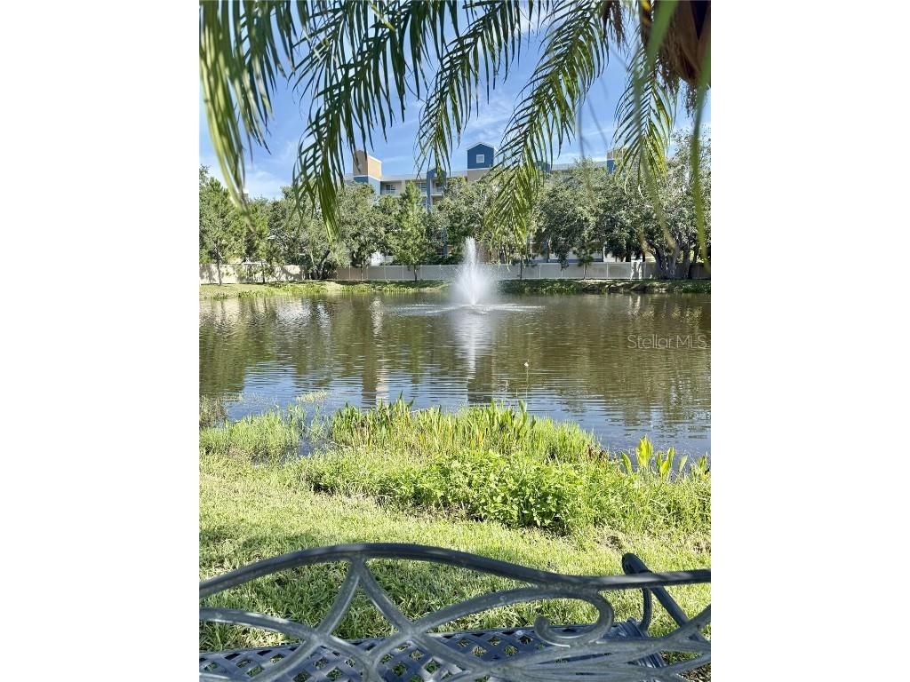 1050 Starkey Road #704 Largo FL 33771 TB8398671 image20