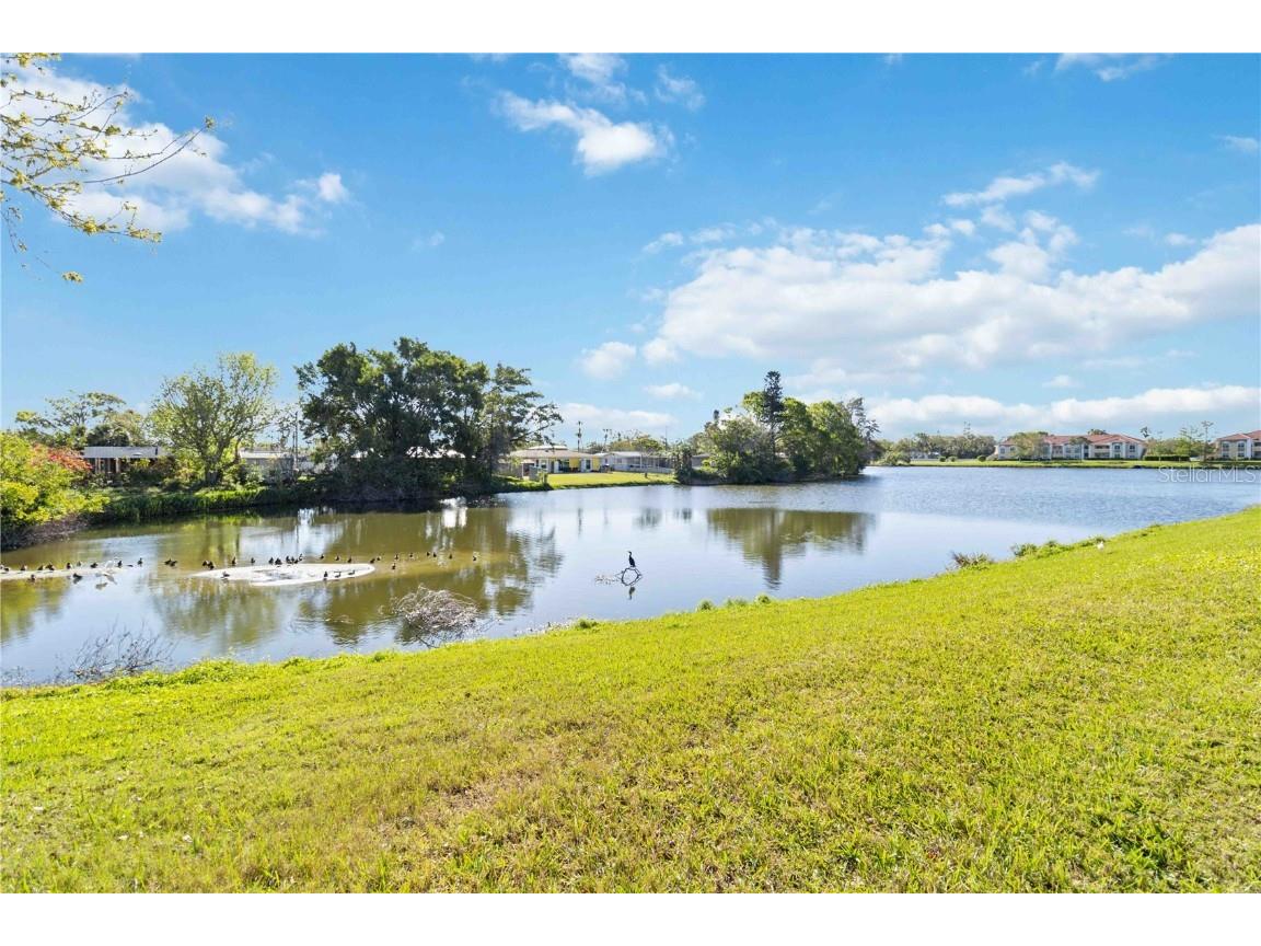 1050 Villagio Circle #206 Sarasota FL 34237 A4661090 image40