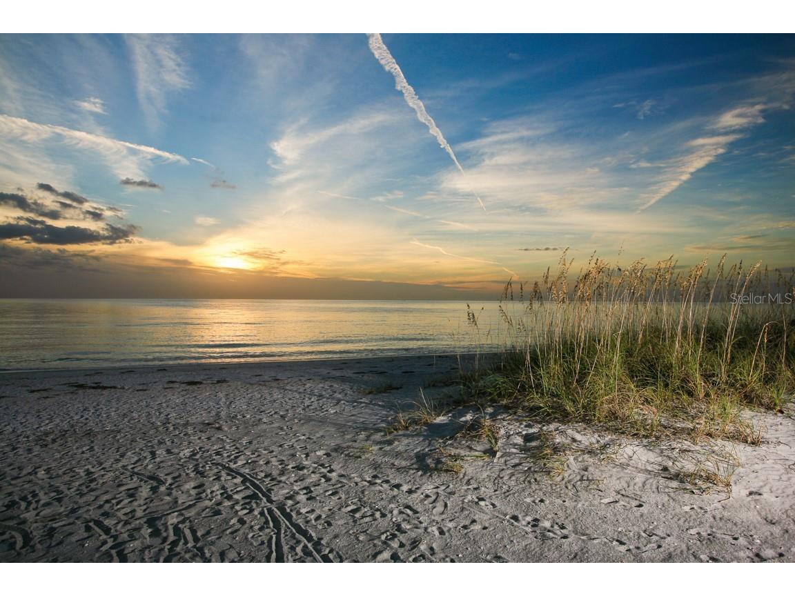 1050 Villagio Circle #206 Sarasota FL 34237 A4661090 image54