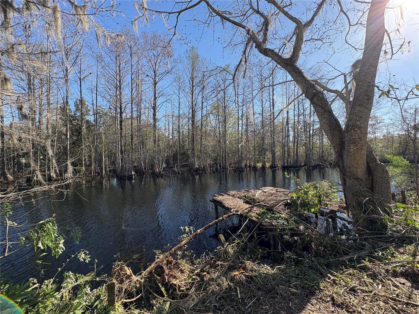 10500 E Gobbler Drive Floral City FL 34436 - TSALA APOPKA CHAIN OF LAKES TB8366746 image10