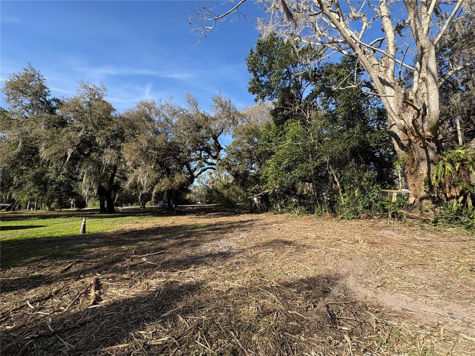 10500 E Gobbler Drive Floral City FL 34436 - TSALA APOPKA CHAIN OF LAKES TB8366746 image11