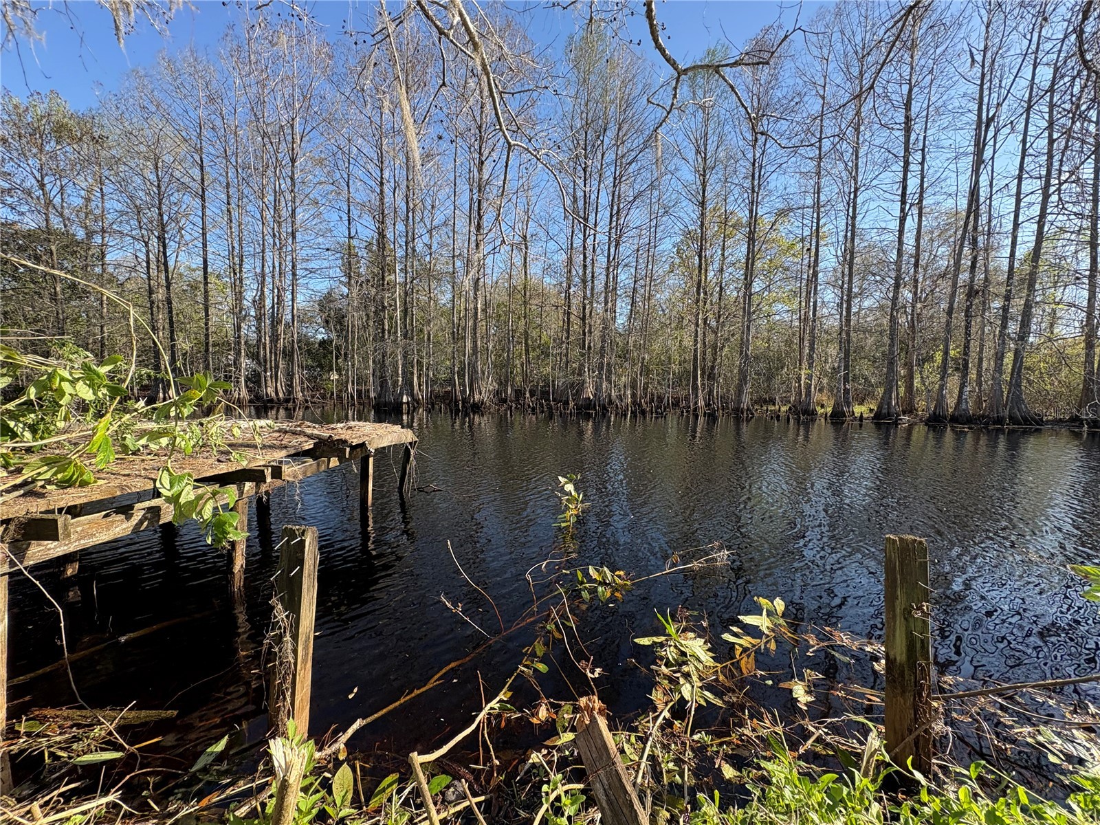 10500 E Gobbler Drive Floral City FL 34436 - TSALA APOPKA CHAIN OF LAKES TB8366746 image12