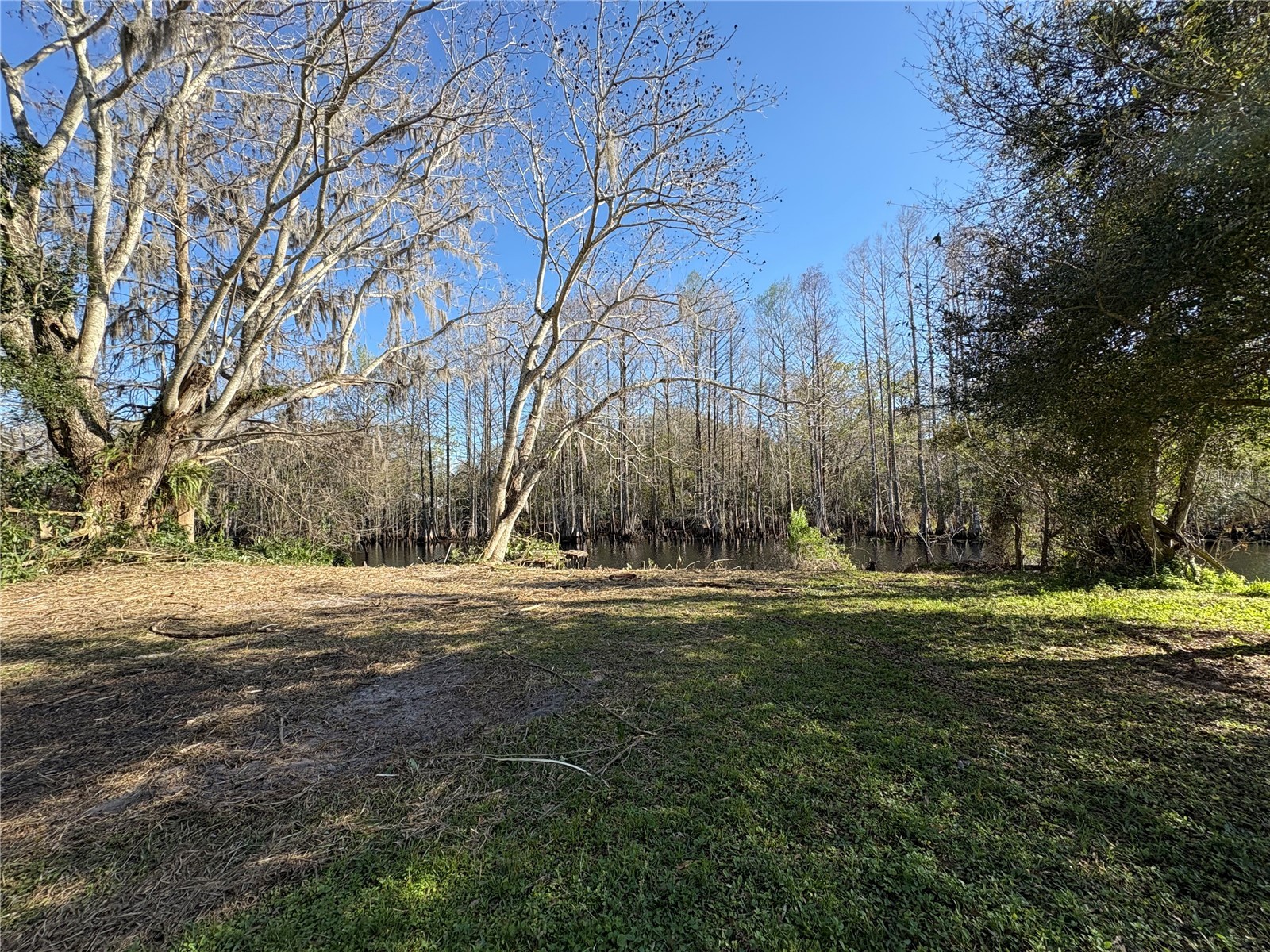 10500 E Gobbler Drive Floral City FL 34436 - TSALA APOPKA CHAIN OF LAKES TB8366746 image14