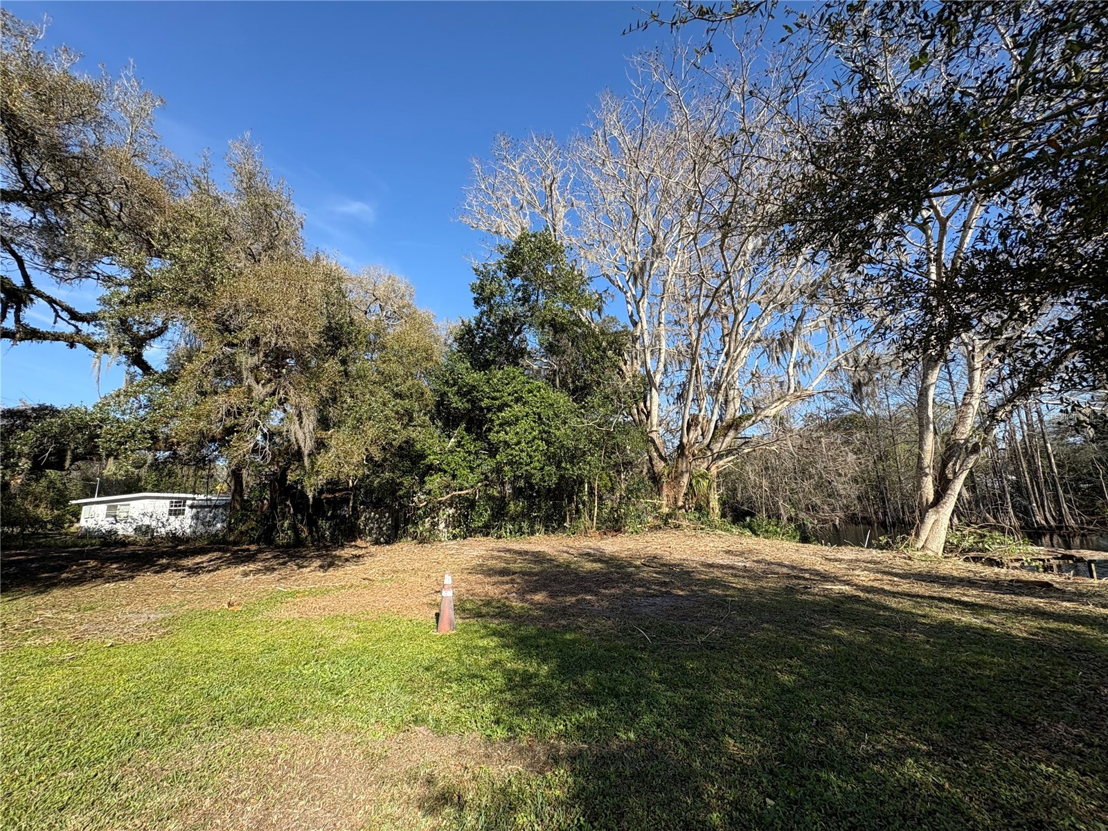 10500 E Gobbler Drive Floral City FL 34436 - TSALA APOPKA CHAIN OF LAKES TB8366746 image17