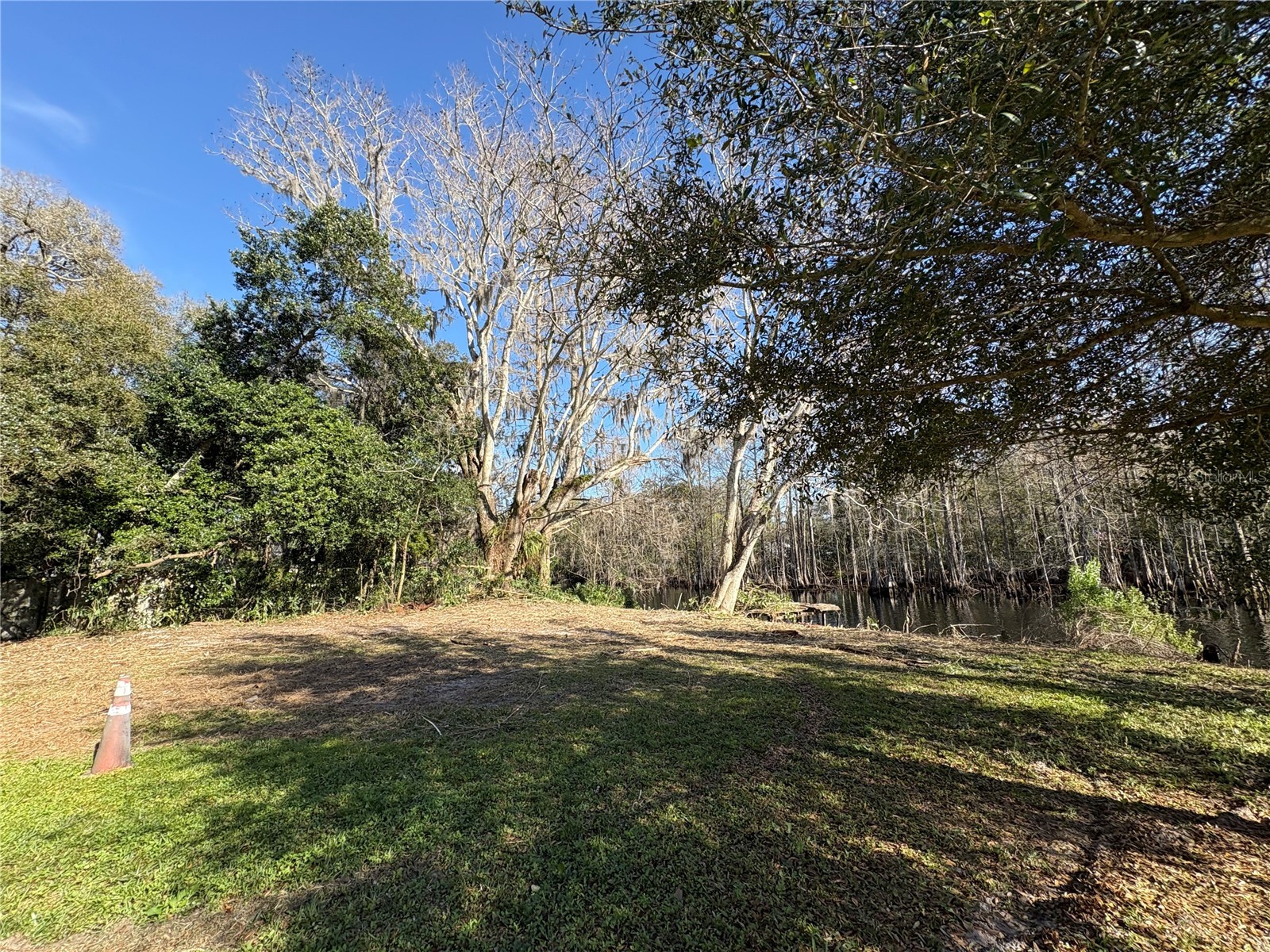 10500 E Gobbler Drive Floral City FL 34436 - TSALA APOPKA CHAIN OF LAKES TB8366746 image18