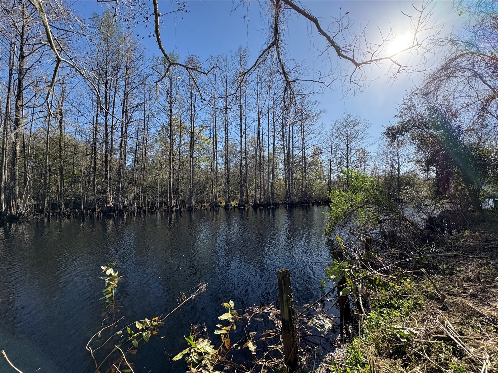 10500 E Gobbler Drive Floral City FL 34436 - TSALA APOPKA CHAIN OF LAKES TB8366746 image2