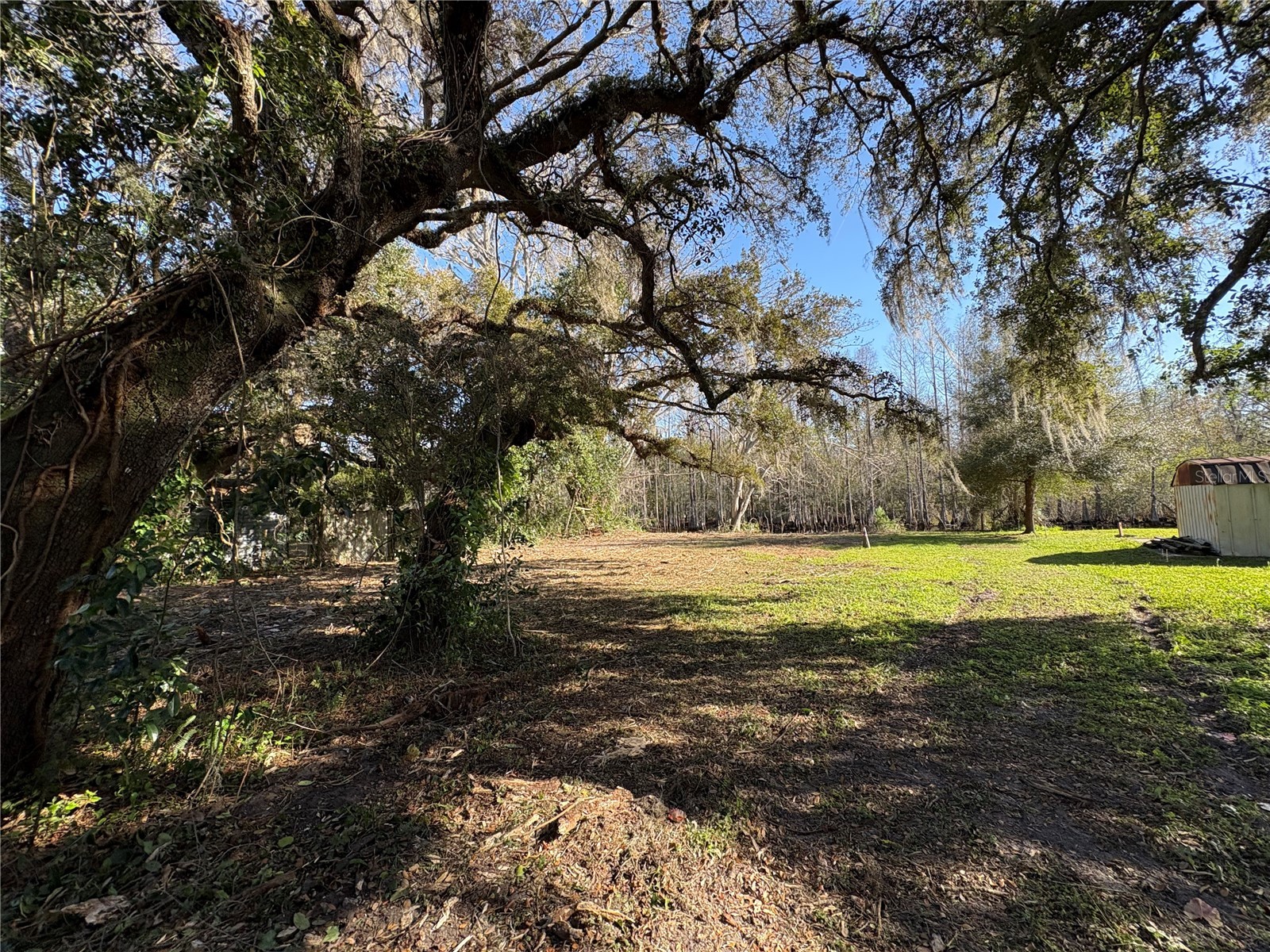 10500 E Gobbler Drive Floral City FL 34436 - TSALA APOPKA CHAIN OF LAKES TB8366746 image20