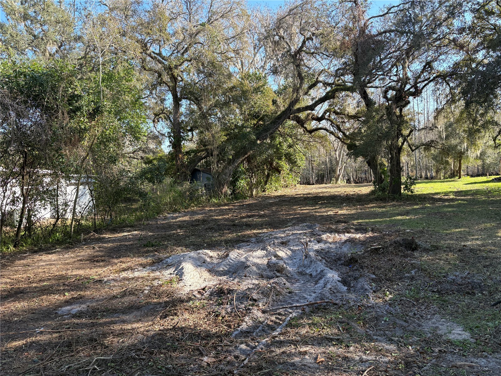 10500 E Gobbler Drive Floral City FL 34436 - TSALA APOPKA CHAIN OF LAKES TB8366746 image22