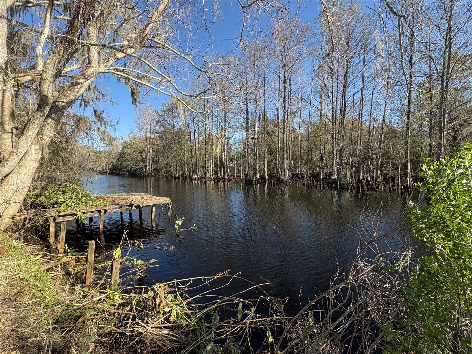 10500 E Gobbler Drive Floral City FL 34436 - TSALA APOPKA CHAIN OF LAKES TB8366746 image3