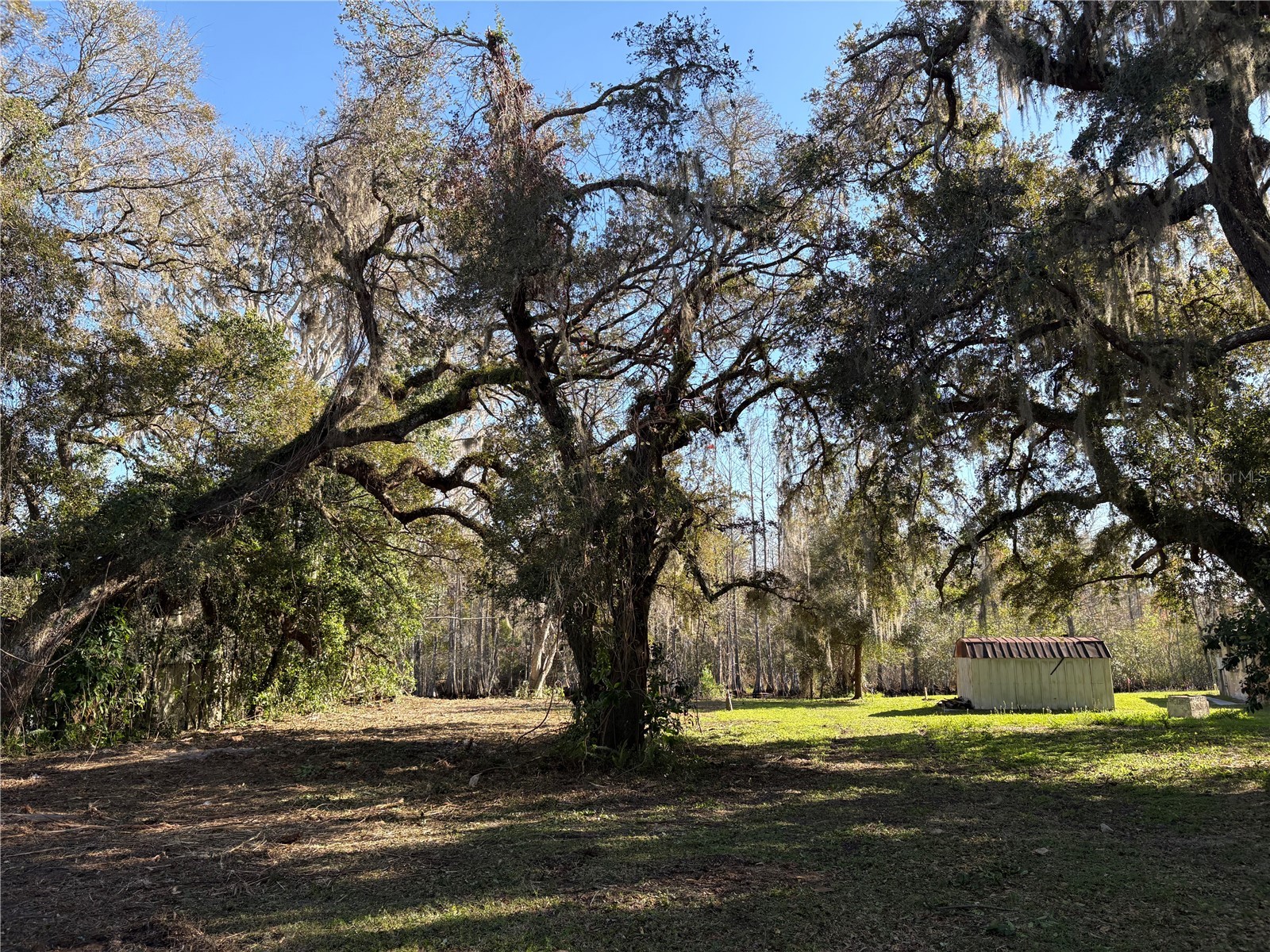 10500 E Gobbler Drive Floral City FL 34436 - TSALA APOPKA CHAIN OF LAKES TB8366746 image4