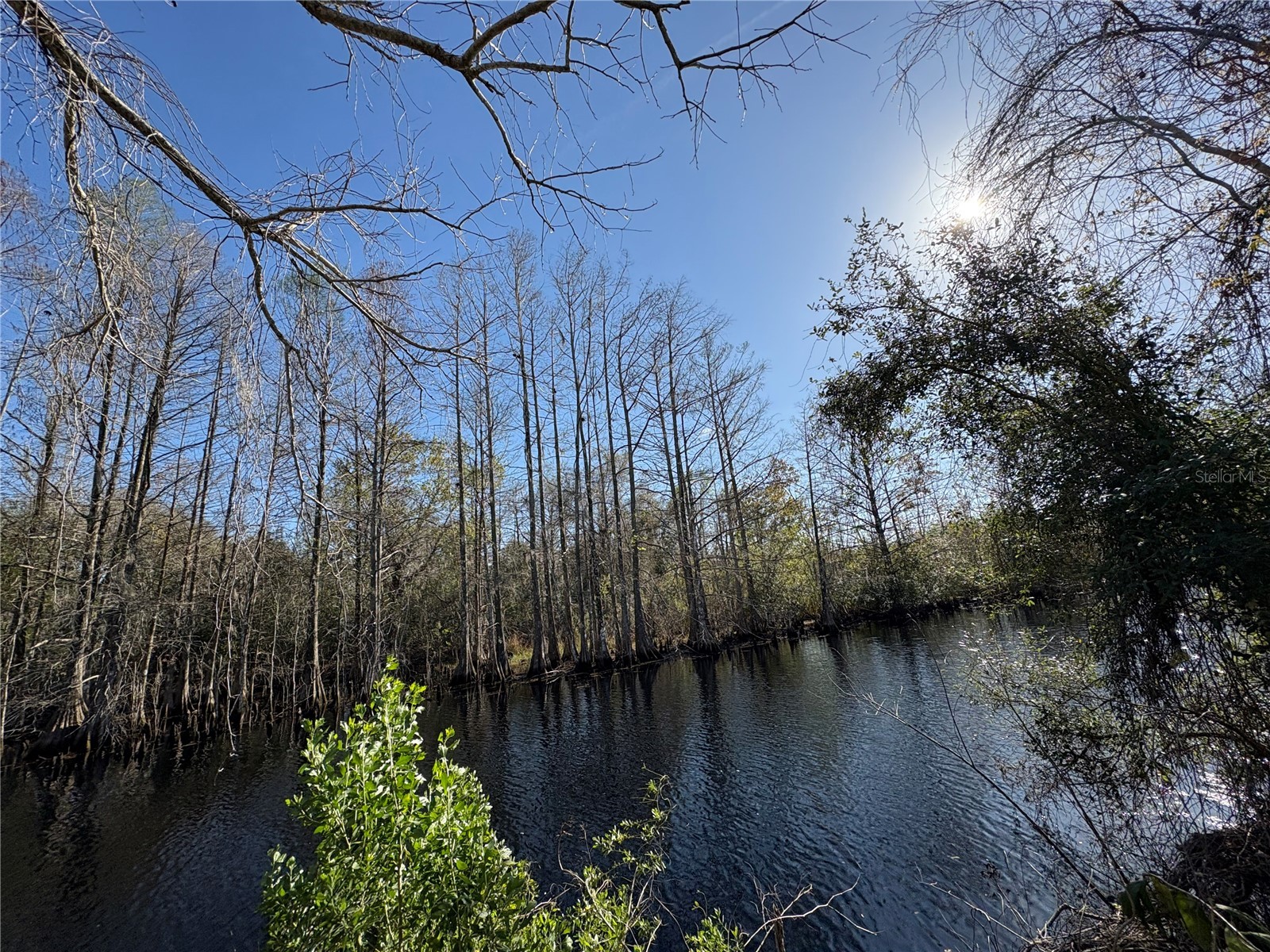 10500 E Gobbler Drive Floral City FL 34436 - TSALA APOPKA CHAIN OF LAKES TB8366746 image5