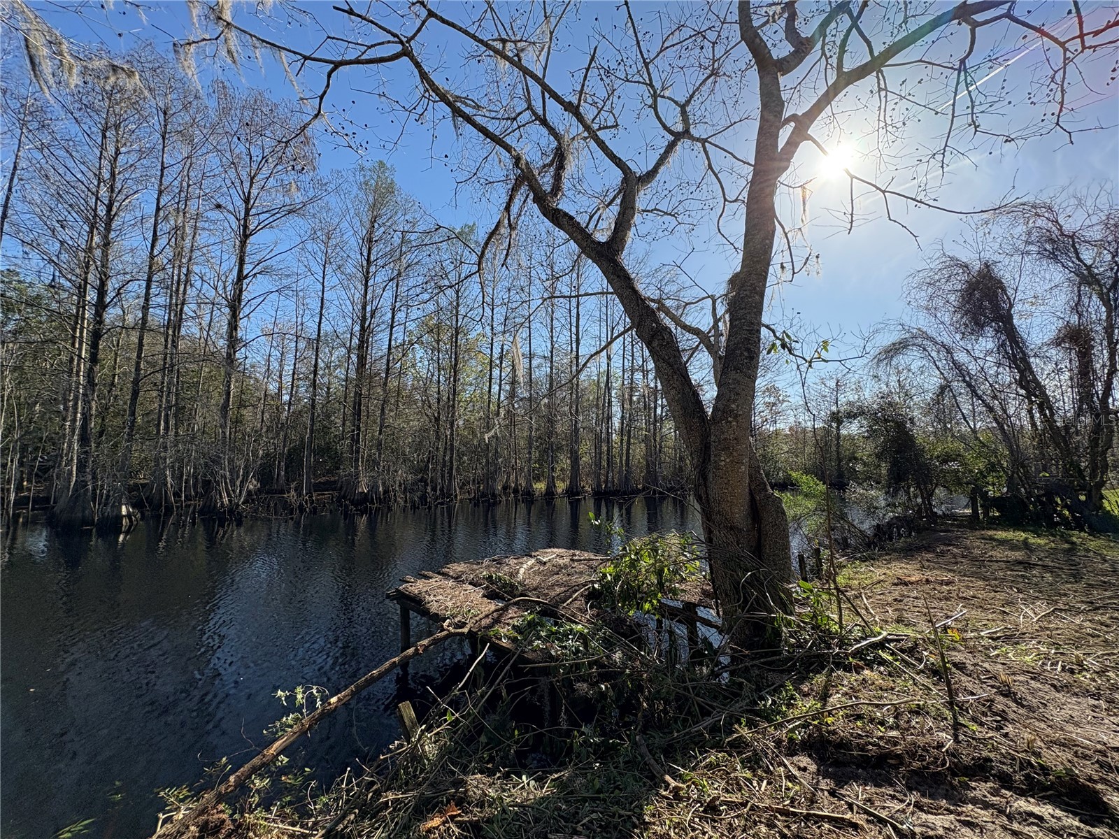 10500 E Gobbler Drive Floral City FL 34436 - TSALA APOPKA CHAIN OF LAKES TB8366746 image6