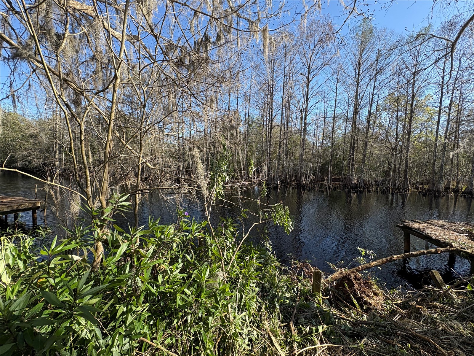 10500 E Gobbler Drive Floral City FL 34436 - TSALA APOPKA CHAIN OF LAKES TB8366746 image7