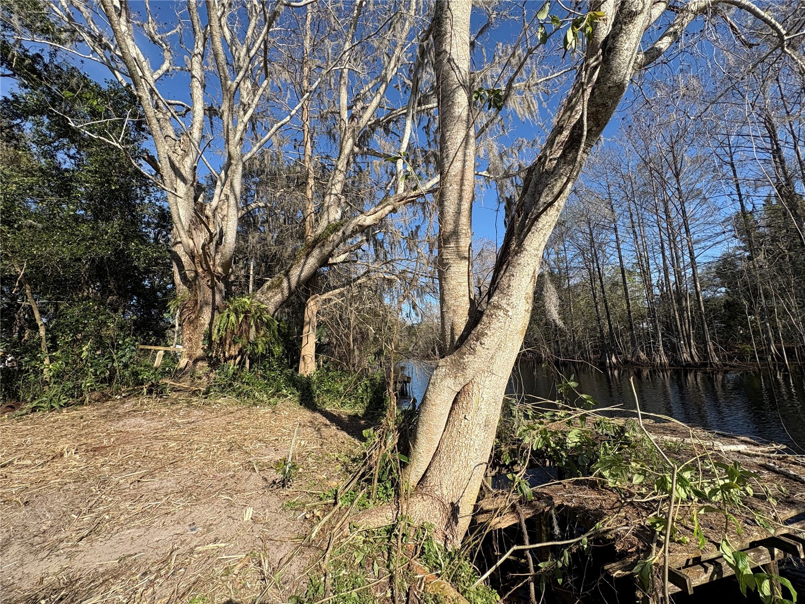 10500 E Gobbler Drive Floral City FL 34436 - TSALA APOPKA CHAIN OF LAKES TB8366746 image8