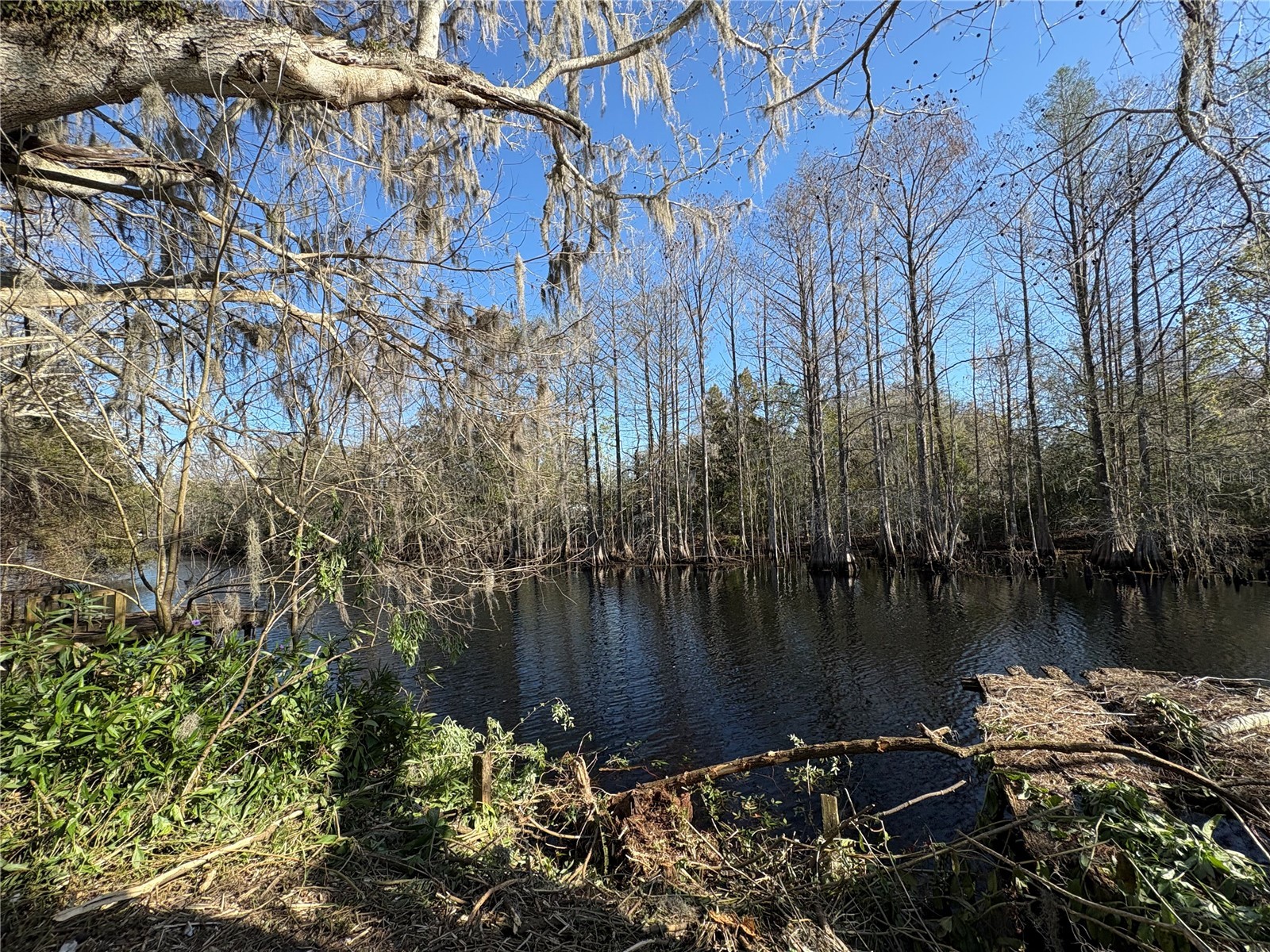 10500 E Gobbler Drive Floral City FL 34436 - TSALA APOPKA CHAIN OF LAKES TB8366746 image9