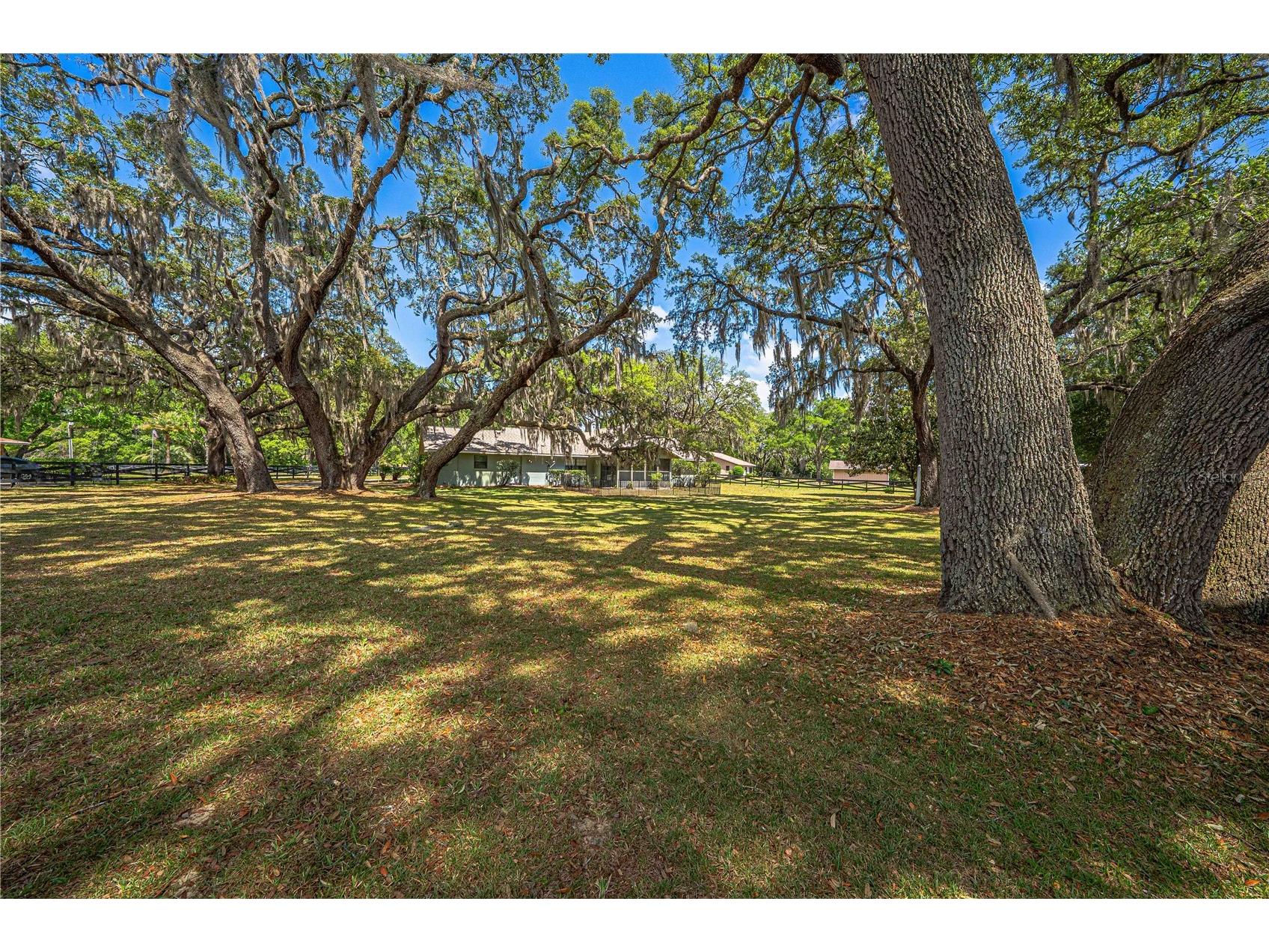 10500 SW 65th Terrace Ocala FL 34476 OM723860 image50
