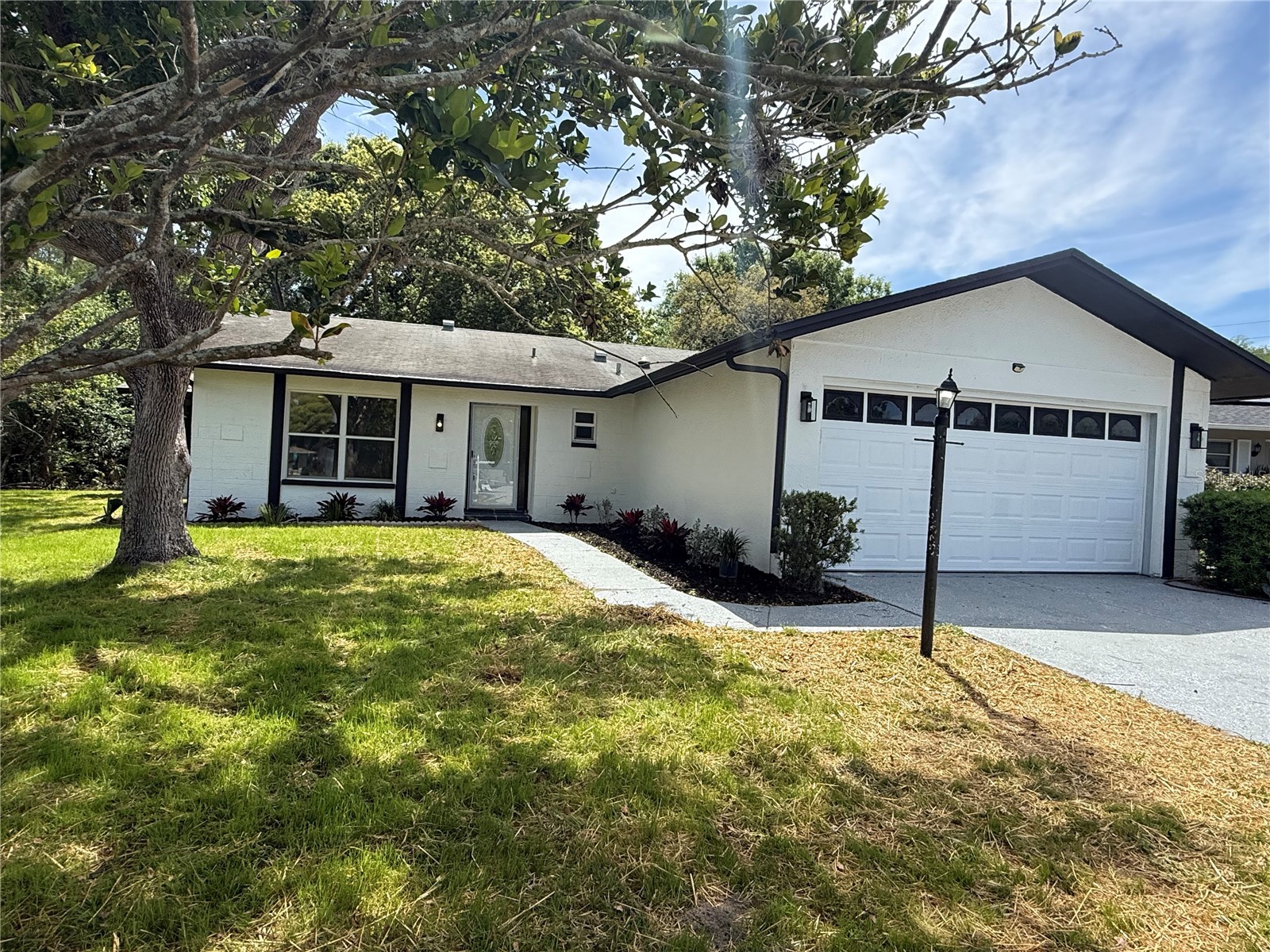 10501 Hardwood Court Port Richey FL 34668 TB8500496 image1
