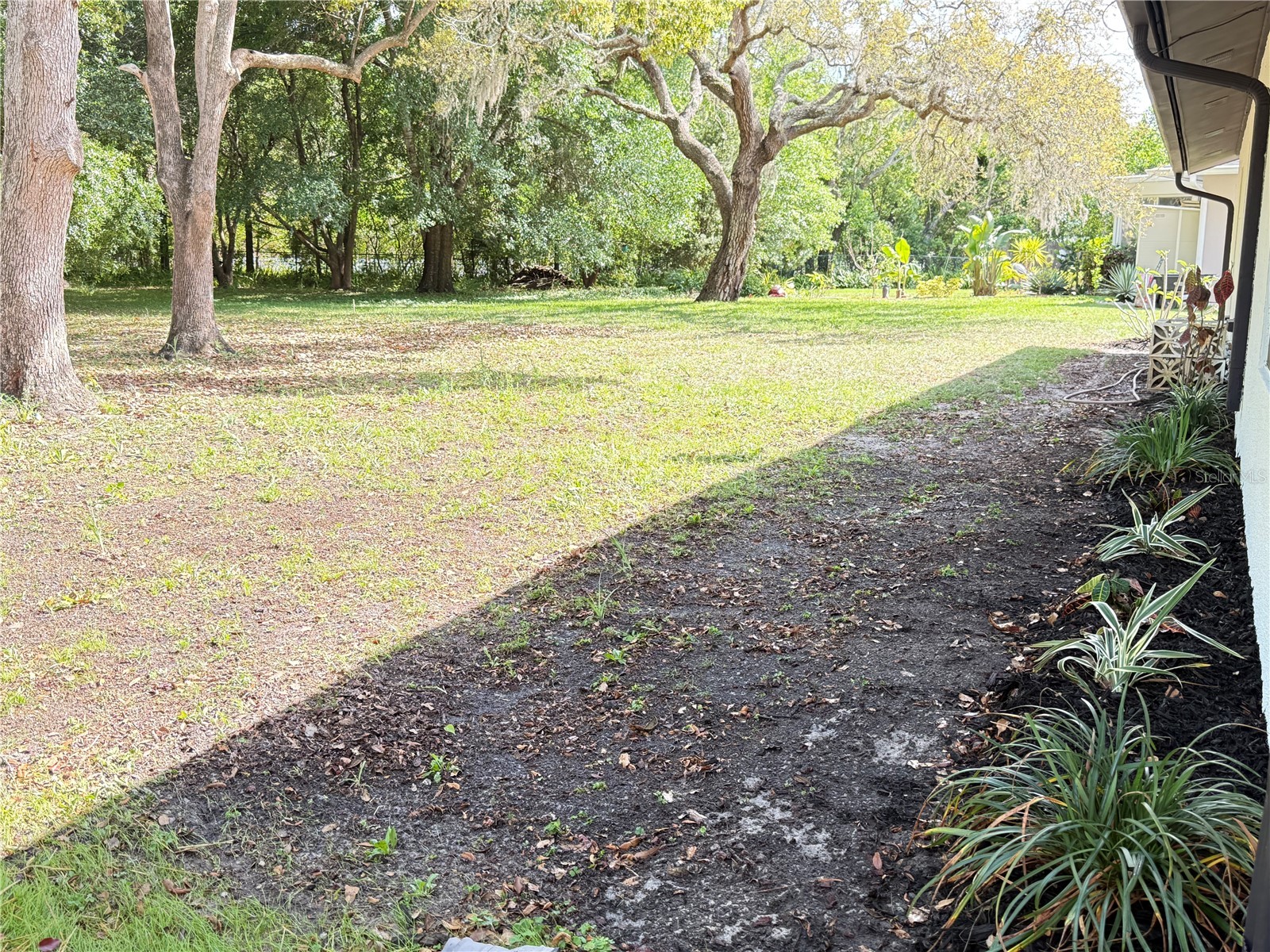 10501 Hardwood Court Port Richey FL 34668 TB8500496 image28