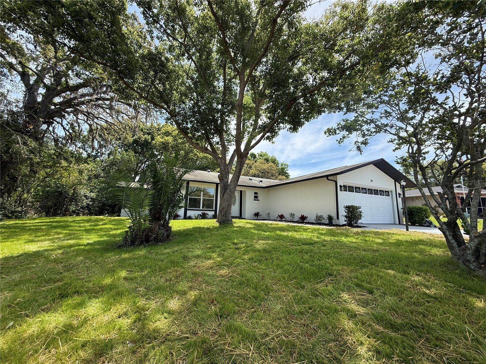 10501 Hardwood Court Port Richey FL 34668 TB8500496 image3