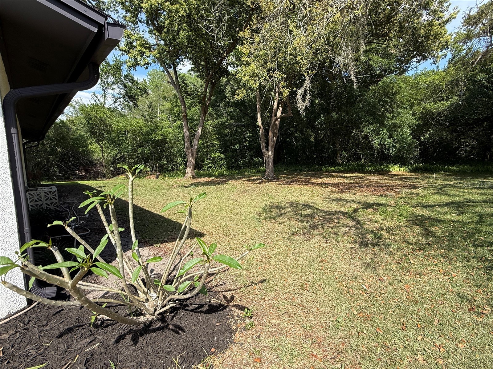 10501 Hardwood Court Port Richey FL 34668 TB8500496 image30