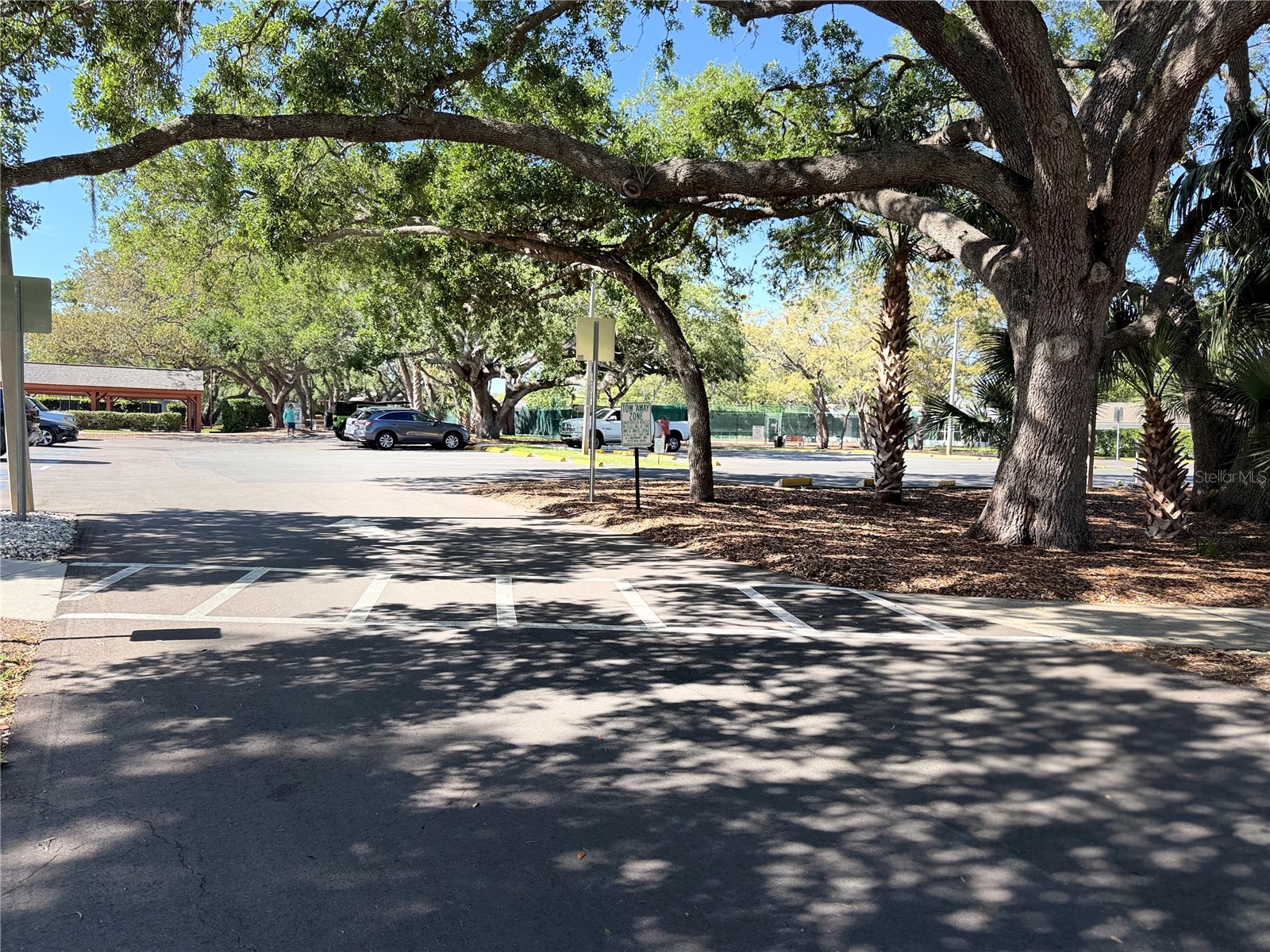 10501 Hardwood Court Port Richey FL 34668 TB8500496 image33