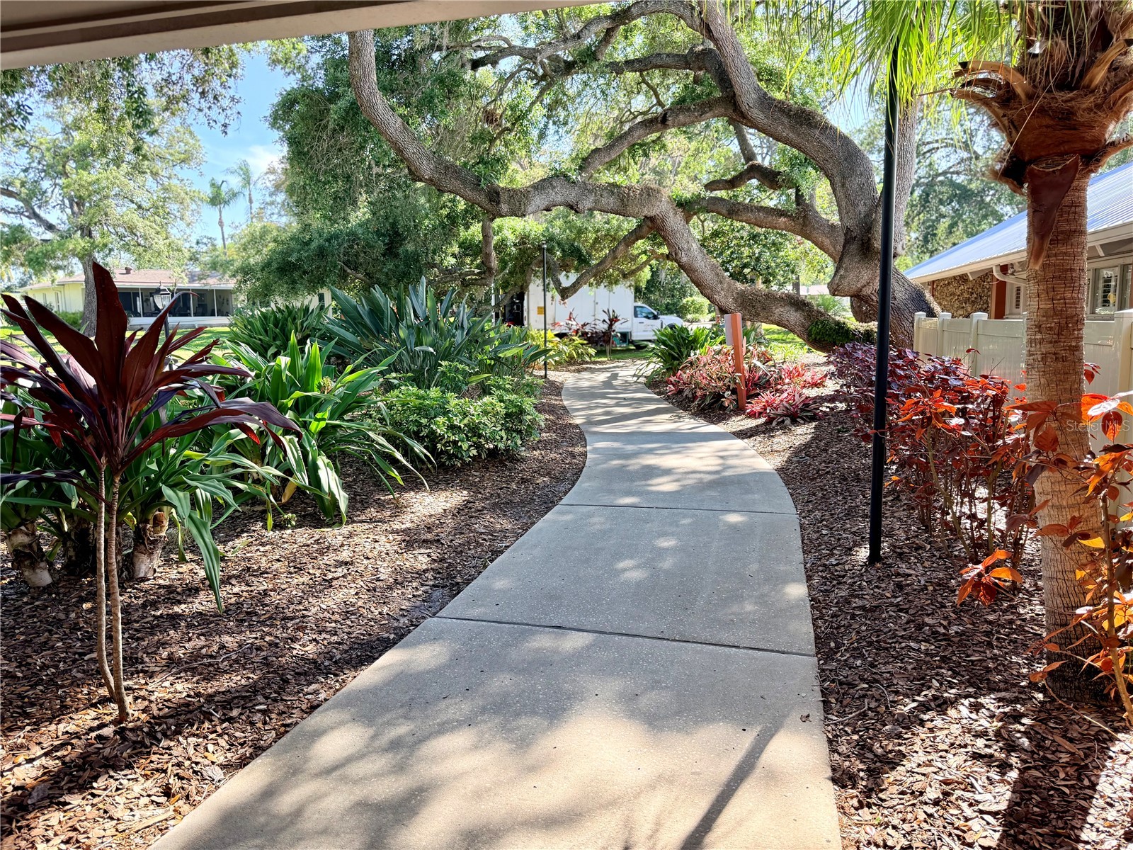 10501 Hardwood Court Port Richey FL 34668 TB8500496 image35