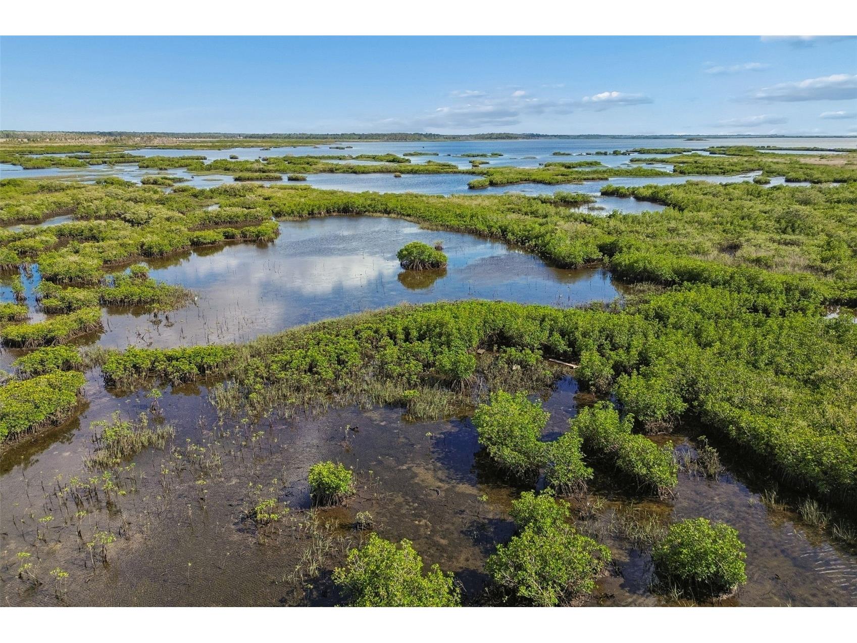 10501 Pine Island Drive Weeki Wachee FL 34607 TB8501588 image10